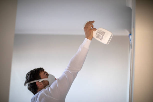 Mold Removal and Inspection in Hedwig Village, TX
