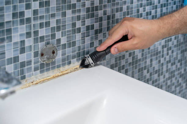 Best Emergency Mold Removal  in Hedwig Village, TX