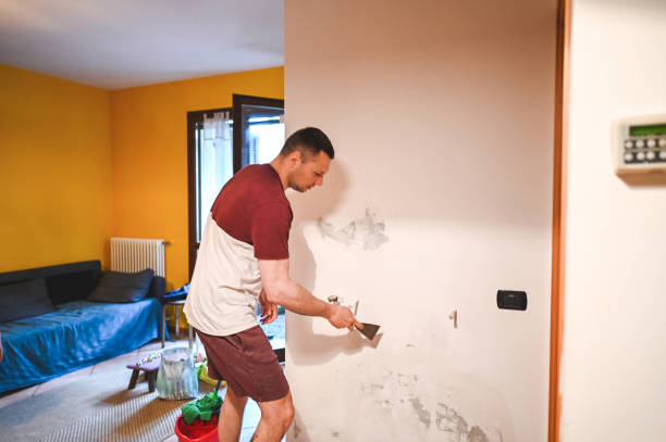 Best Mold Removal Near Me  in Hedwig Village, TX